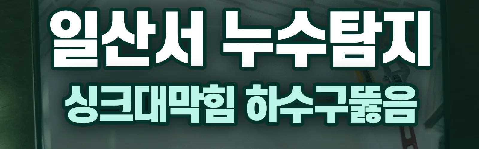 경기 고양시 일산서구 누수탐지 상담