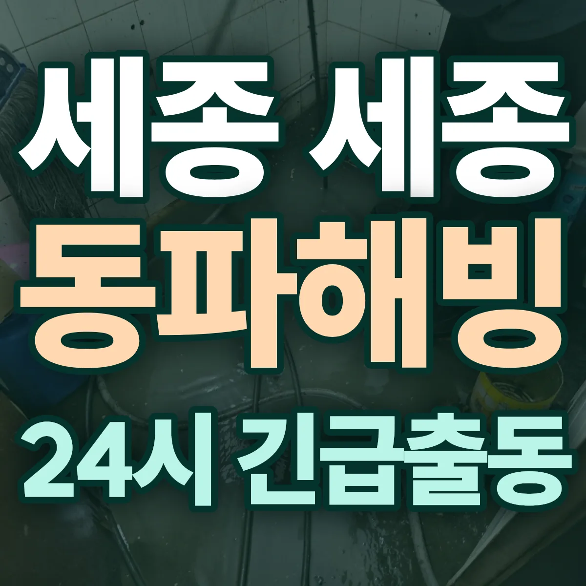 세종 세종 동파해빙 출동 상담