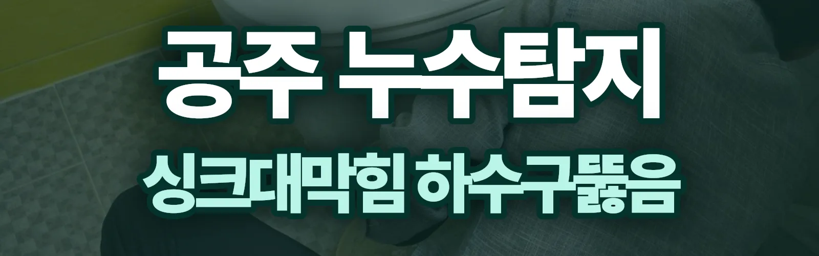 충남 공주시 누수탐지 상담