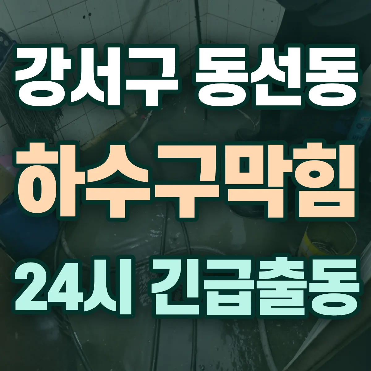 강서구 동선동 하수구막힘 출동 상담