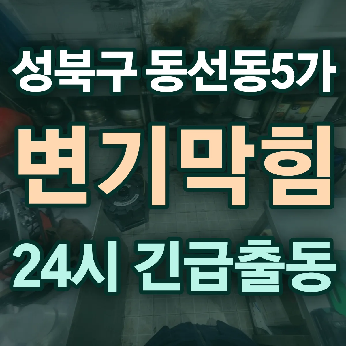 성북구 동선동5가 변기막힘 출동 상담