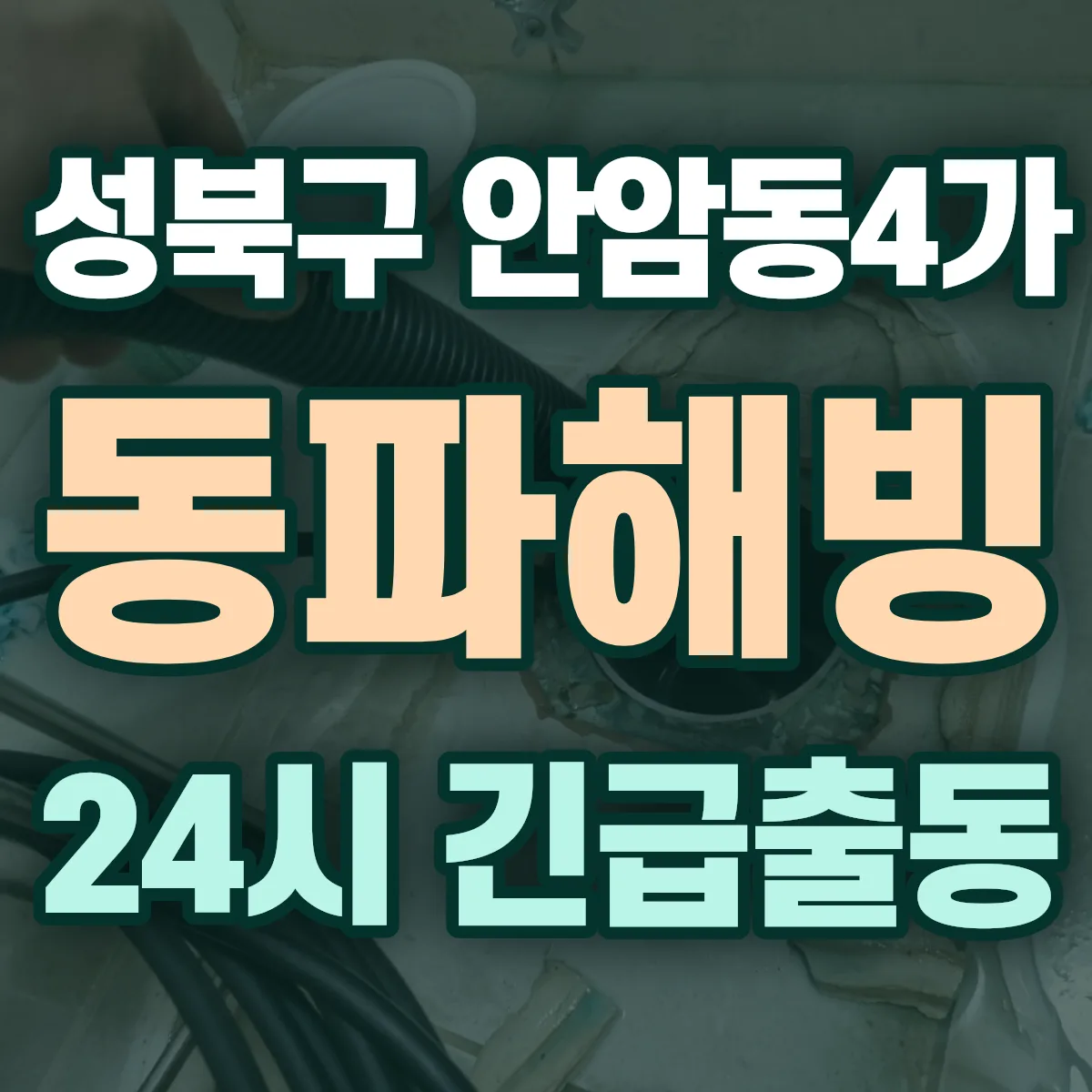 성북구 안암동4가 동파해빙 출동 상담