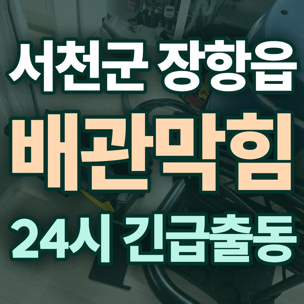 서천군 장항읍 배관막힘 출동 상담